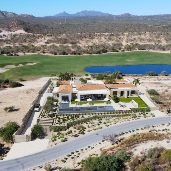 Palmilla O22